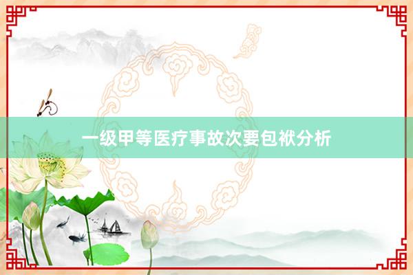 一级甲等医疗事故次要包袱分析